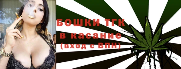 СК Алексин