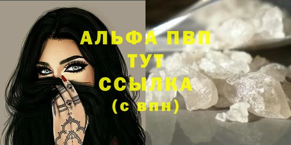 СК Алексин