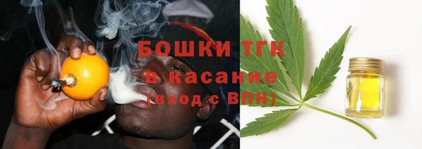 СК Алексин