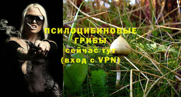 mix Алексеевка