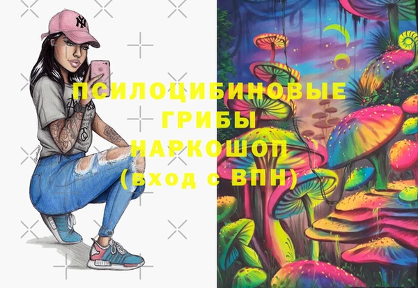 2c-b Алзамай