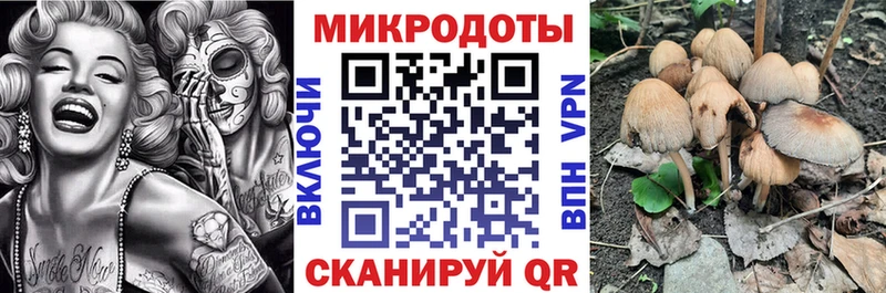 Галлюциногенные грибы Psilocybine cubensis  закладки  Отрадная 